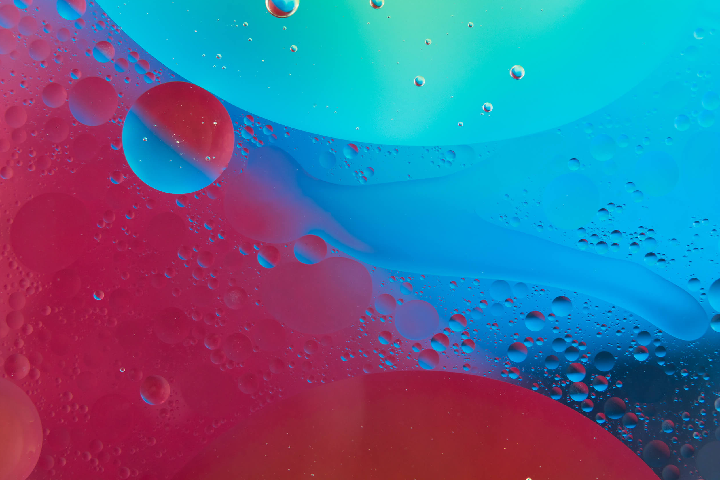 Cultura dei dati in azienda: come trasformare i numeri in decisioni consapevoli